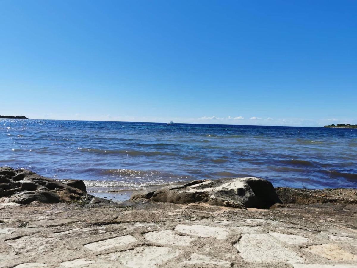 App Palcic K Leilighet Novigrad Istria Eksteriør bilde