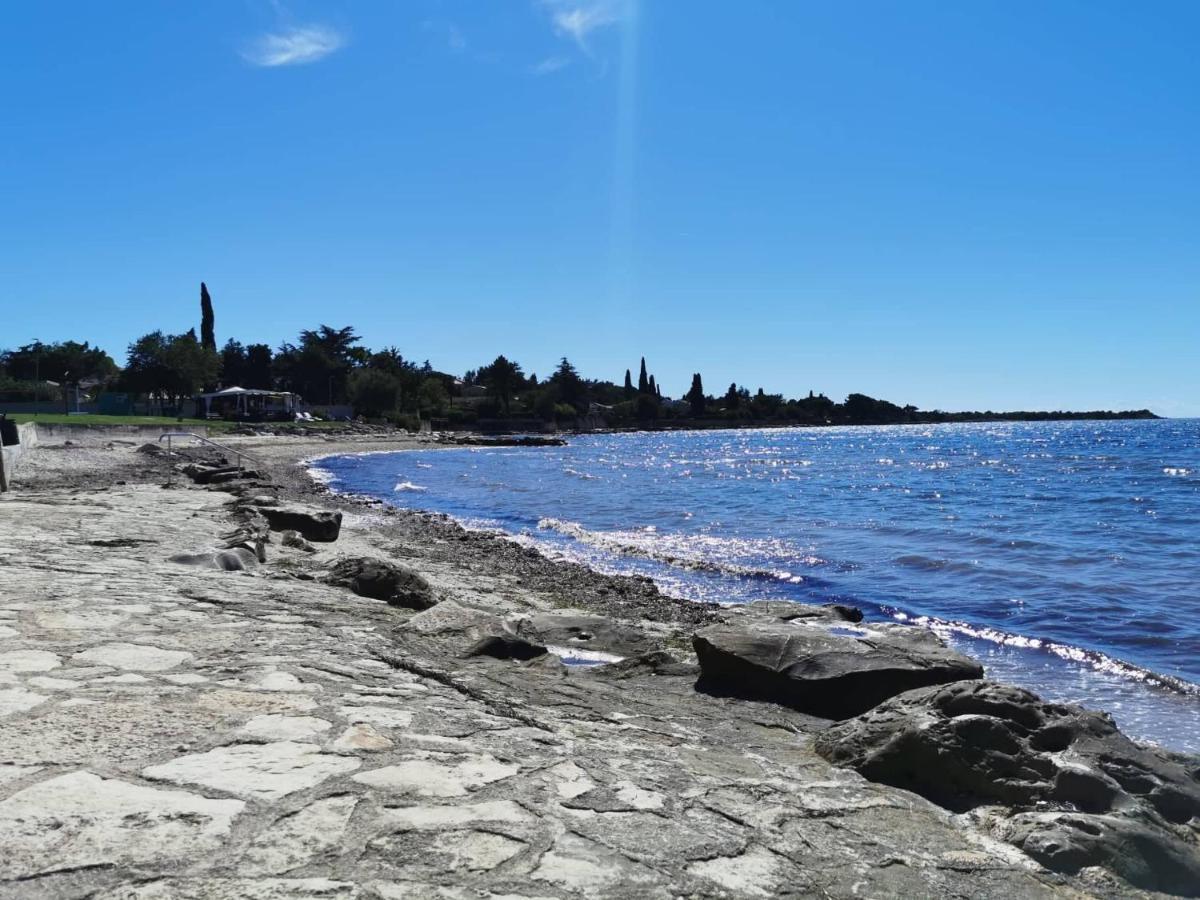 App Palcic K Leilighet Novigrad Istria Eksteriør bilde