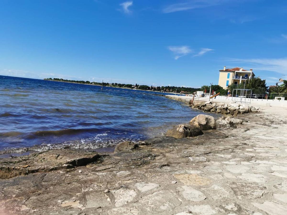App Palcic K Leilighet Novigrad Istria Eksteriør bilde