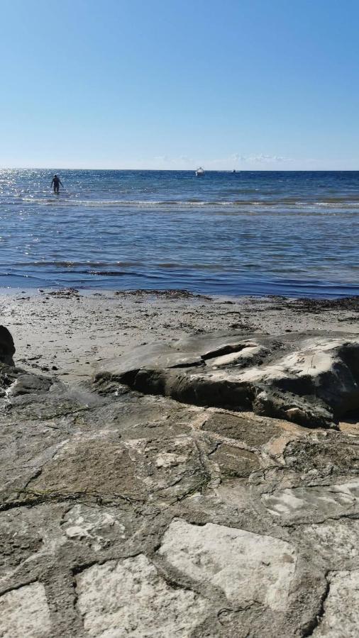 App Palcic K Leilighet Novigrad Istria Eksteriør bilde