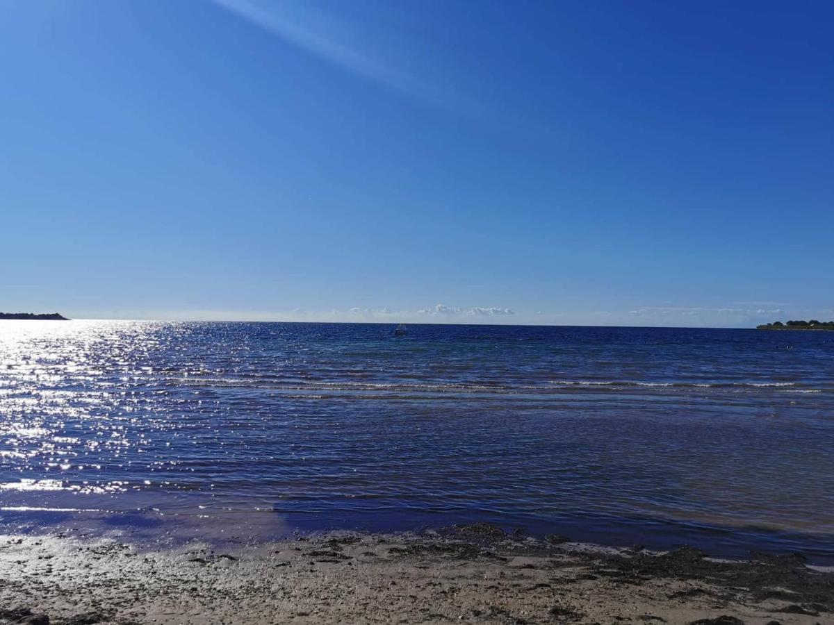 App Palcic K Leilighet Novigrad Istria Eksteriør bilde
